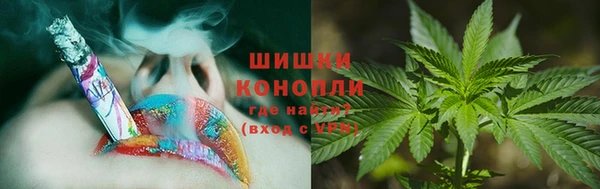 МДПВ Осинники