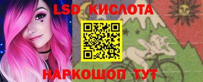 spice Гатчина