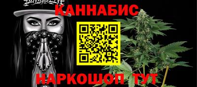 spice Гатчина