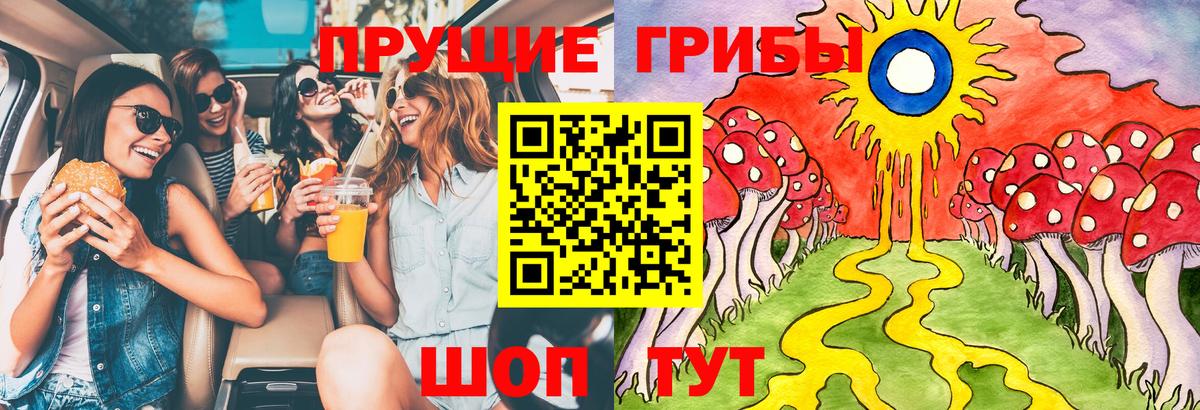 Каменка  Псилоцибиновые грибы Psilocybe  наркошоп  Вход с VPN 
