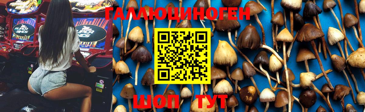 Галлюциногенные грибы Magic Shrooms Каменка