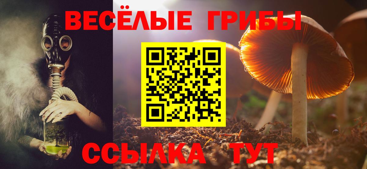 Галлюциногенные грибы MAGIC MUSHROOMS  Галлюциногенные грибы мухоморы  Каменка 