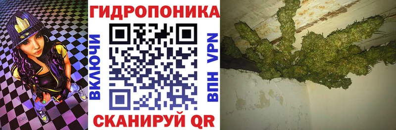 блэк спрут маркетплейс  Каменка  Марихуана Ganja  наркота 